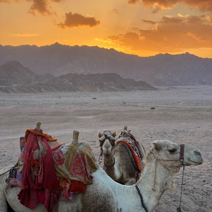 Mussoorie (1) Pushkar Desert Romance – 2N/3D - Image 1